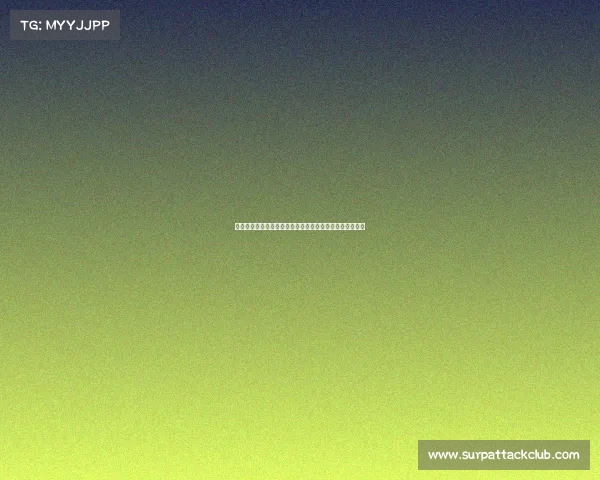 曼彻斯特对阵多特蒙德的欧冠焦点赛事精彩回顾与深度解析