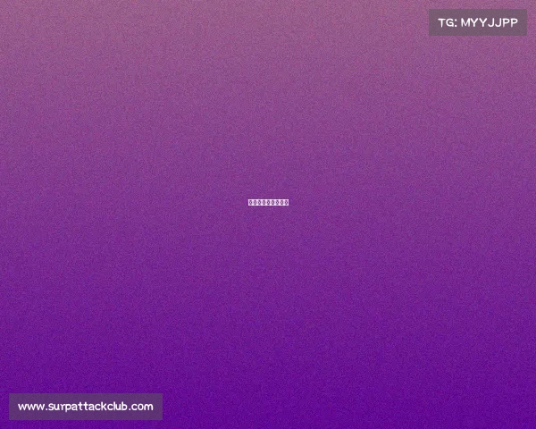 沈阳体育赛事安排表