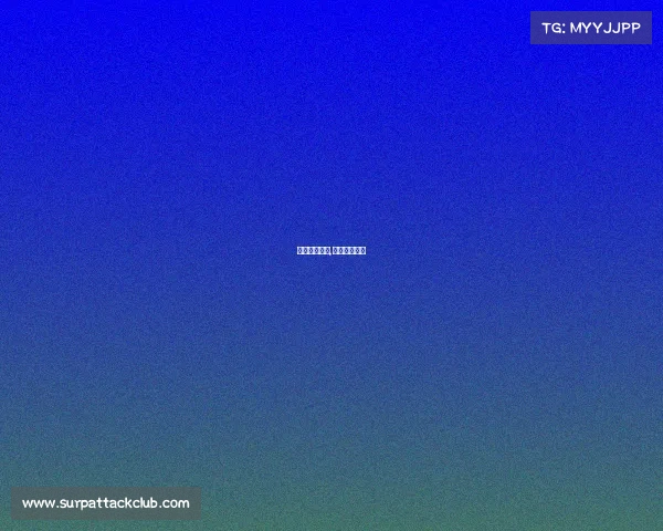 巴西赛事回顾,巴西比赛记录